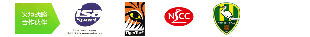 火炬戰略合作伙伴